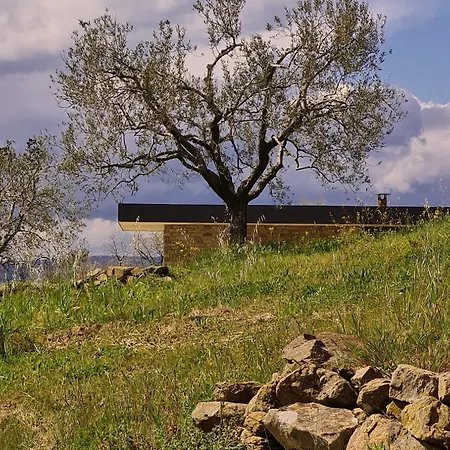 Poggio Cagnano Bed & Breakfast